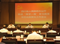 四川省政府办公厅召开推进“两学一做”学习教育常态化制度化工作会议